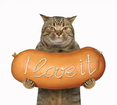this is a cat holding a sausage